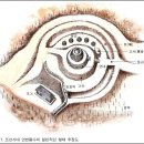 우지연대 | 제주도 연대(煙臺)