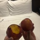 오메가전기·조명 | 뉴질랜드 숙소 후기