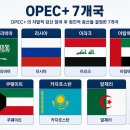 OPEC 7개국 6개월 연속 증산 결정! 국제유가 안정에도 체감 효과는 왜 미미할까? 이미지