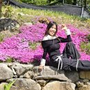 예산농원 - 예산군 충서로 244-1 | 예산농원