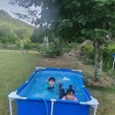 배나무실의 아침 이미지