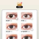 렌즈타운 이미지