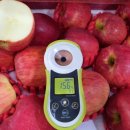 영등포청과시장 이미지