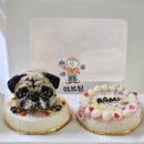 이브링 | 대구 주문제작 강아지케이크 전문점 이브링 대구수제간식 추천