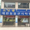 프로펫애견미용학원 이미지