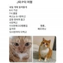 우림세탁소 | 파워 J 친구와 여행을 떠나면 P는 잘 먹고 잘 자기만 하면 된다 (베트남 무이네-호치민 여행 1탄)