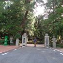 칠암동 경남문화예술회관 건너둔치 | 경남 진주 남강 유등 축제장 한 바퀴