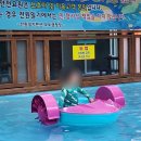 전원펜션 | 아이들 데리고 다녀온 경주 자연 힐링 캠핑지 전원일기펜션오토캠핑장 후기