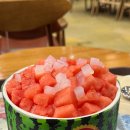 설빙 신메뉴 3종 소개, 내돈내산 수박듬뿍화채 빙수 솔직 후기 🍉