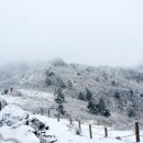 지리산여관 이미지