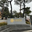 기억해! 입사나 입학을 앞두고서는 탱자탱자 놀아둬야해!