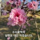 맛꼬방 이미지