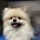 서빙고동주민센터 이미지