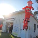 광릉수목원로 | 광릉수목원 근처 카페 추천 :) 주차 넓은 스테이수목원 솔직 후기