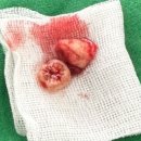 박성용치과의원 이미지