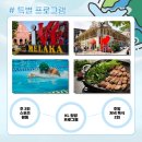 나홀로캠프 이미지