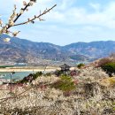 (주)삼성여행사 이미지