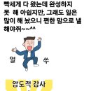 인하카마스타 이미지