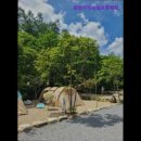 평창자연속쉼표 | 강원도 평창 대관령 숙소 리조트 캠핑 추천 평창자연속쉼표캠핑장 자연 속에서의 완벽한 휴식