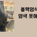 유스헤어 네이버블로그