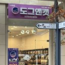 도그앤캣 | 수원 광교 24시 반려동물 애견용품샵 강아지 간식 도그앤캣