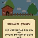 매일농장 이미지
