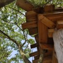 소희네 하우스 이미지