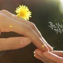 남진컴퓨터 이미지