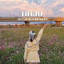 영산강 | 나주 아이와 가볼만한곳 2025 나주영산강축제 첫날 후기