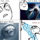더쫌 이미지