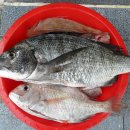 쌍근마을 이미지