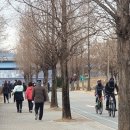뚝섬한강공원-45 이미지