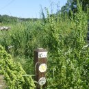 용미3리 이미지