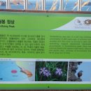 제주 수월봉 화산쇄설층 이미지
