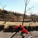 전재울근린공원 유아숲체험원 이미지