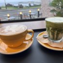 멜버즈서귀포점 이미지