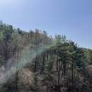 석산농장 이미지