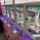 지투존오락실 이미지