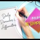 TMS 이미지