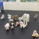 라이크어독 | 애견카페 바닥, 왜 '에버롤'이어야 할까요? ( 애견 호텔 바닥 시공 )