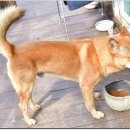 토요일오후 이미지