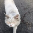 성천리경로당 이미지