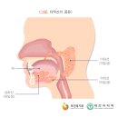 365드림치과병원 이미지