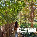 네추럴 팜 이미지