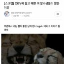 771005 이미지