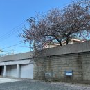 브루잉토트양산사송점 | 08.13