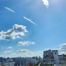 세무법인한솔 이미지