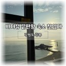 돌고래횟집;펜션 | 아이와 즐기는 강릉 바다뷰, 사천진해변 돌고래 스파 펜션
