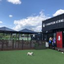 챔피언켄넬 이미지