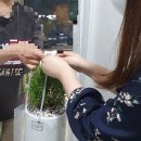 그린화원 - 계양구 효서로 133 | 그린화원